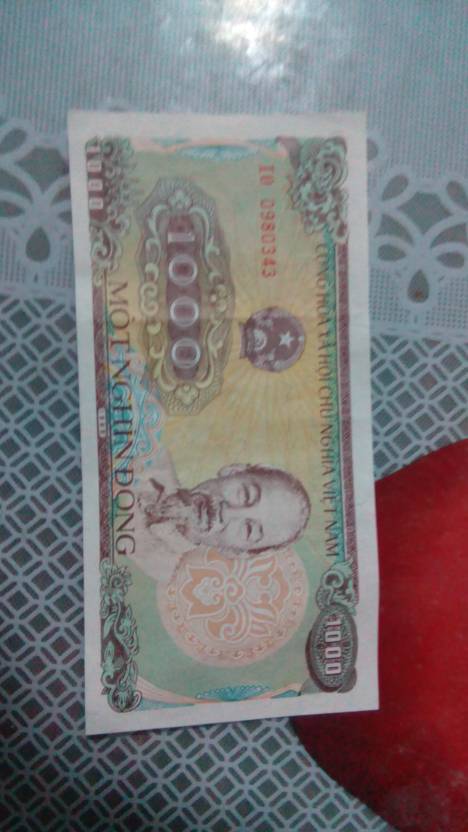 灵芝泡酒，健脾养生降血压“开云电竞官方网站”