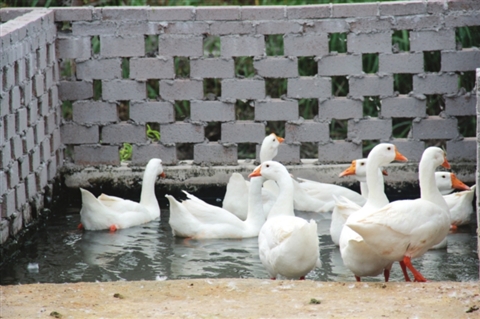 开云电竞中国:陕西省水利电力勘测设计研究院荣获省水利厅直系统“职工书屋建设先进单位”称号(图2) 开云电竞官方网站
