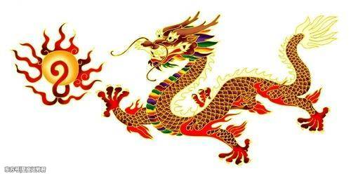 燕窝有哪些食用和药用价值?‘开云电竞中国’(图4) 开云电竞官方网站