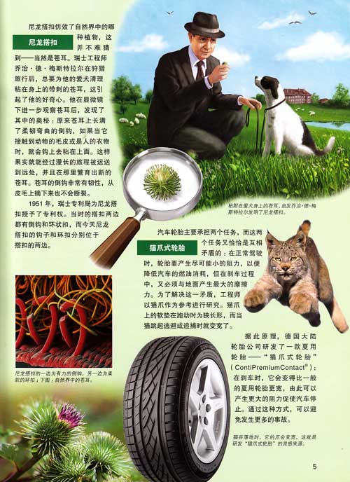 燕窝有哪些食用和药用价值?‘开云电竞中国’