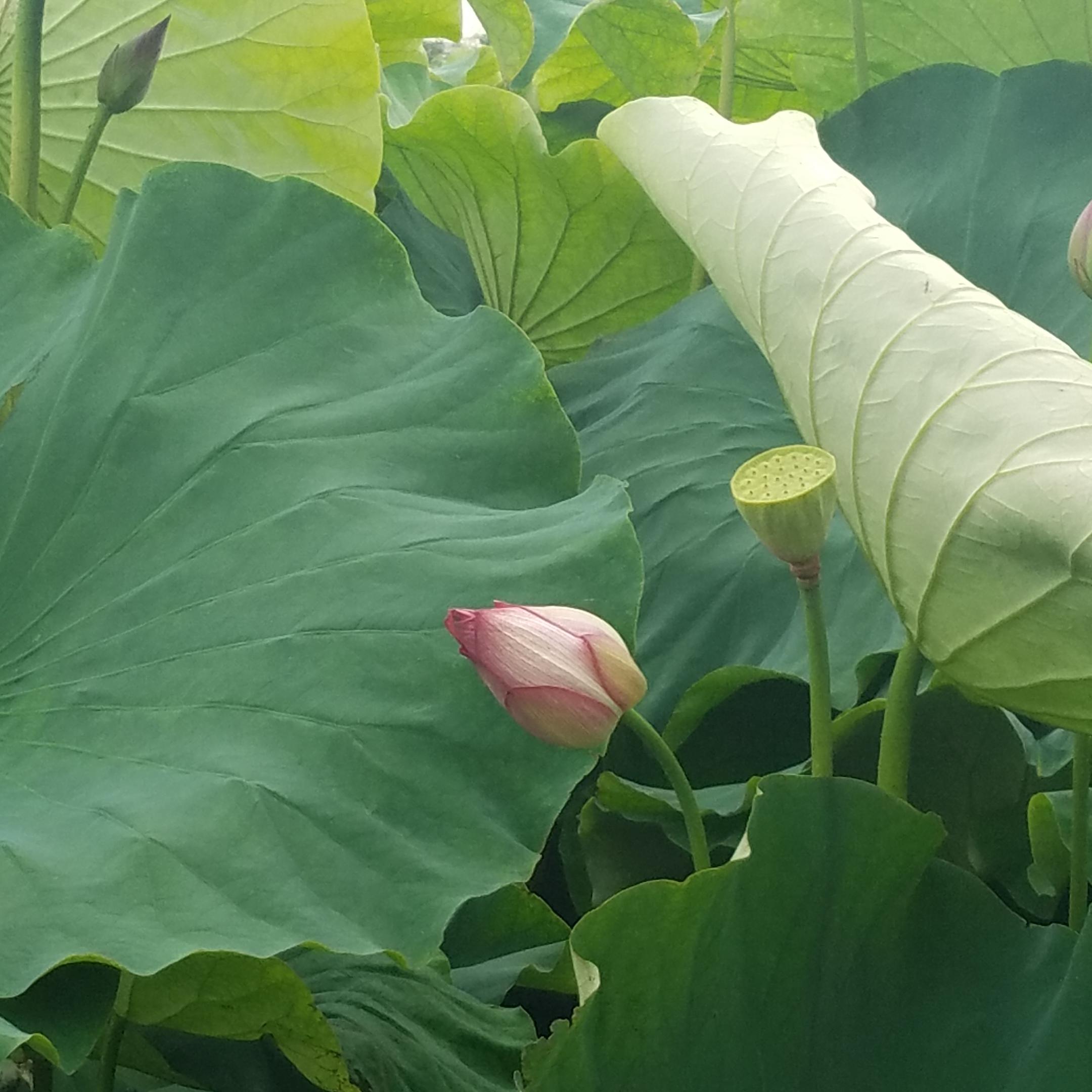 开云电竞官方网站-第421章 云初玖的催眠曲