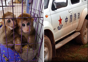 第490章 疗养圣地|开云电竞官方网站