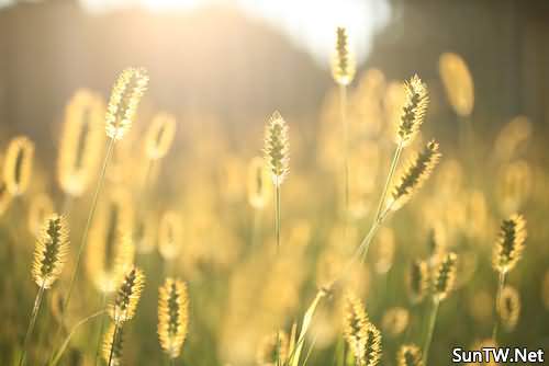 开云电竞中国_浅论建筑工程质量监督管理