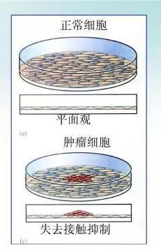 “开云电竞官方网站”沟槽回填施工五大问题怎么处理,小编给你答案!