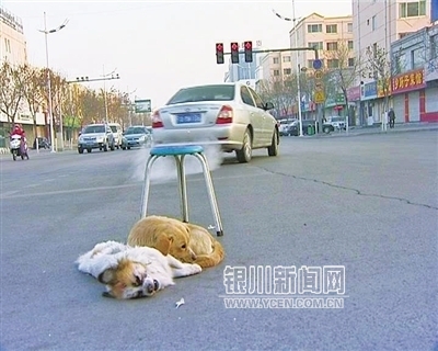 ‘开云电竞官方网站’产前酗酒会引发儿童大脑发育问题