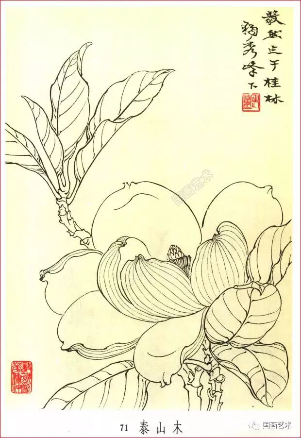 开云电竞官方网站